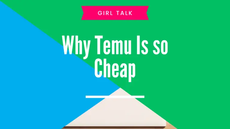 Why Temu Is so Cheap